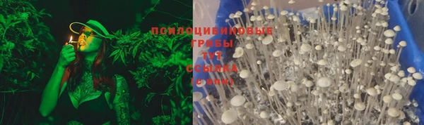 прущая мука Бугульма