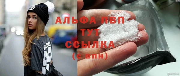 эйфоретик Бородино