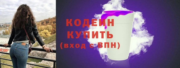 эйфоретик Бородино