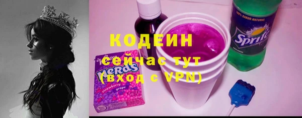 эйфоретик Бородино