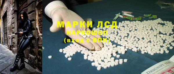 эйфоретик Бородино