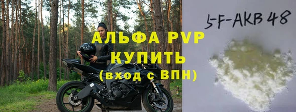 эйфоретик Бородино