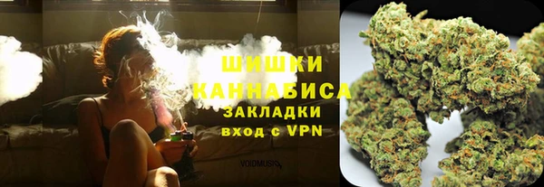 гидра Бронницы