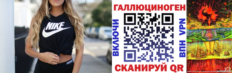 Купить где Пыталово Галлюциногенные грибы Psilocybe